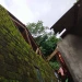 Peltu Ceko Babinsa Sukamantri, Koramil 2113/Ciomas Bantu Evakuasi Dinding Rumah Warga yang Roboh