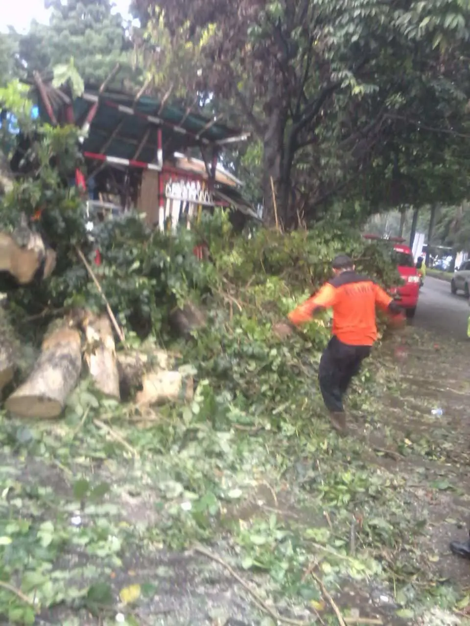 Bogor Hujan Angin, Pohon Tumbang Picu Kemacetan Panjang Di Yasmin