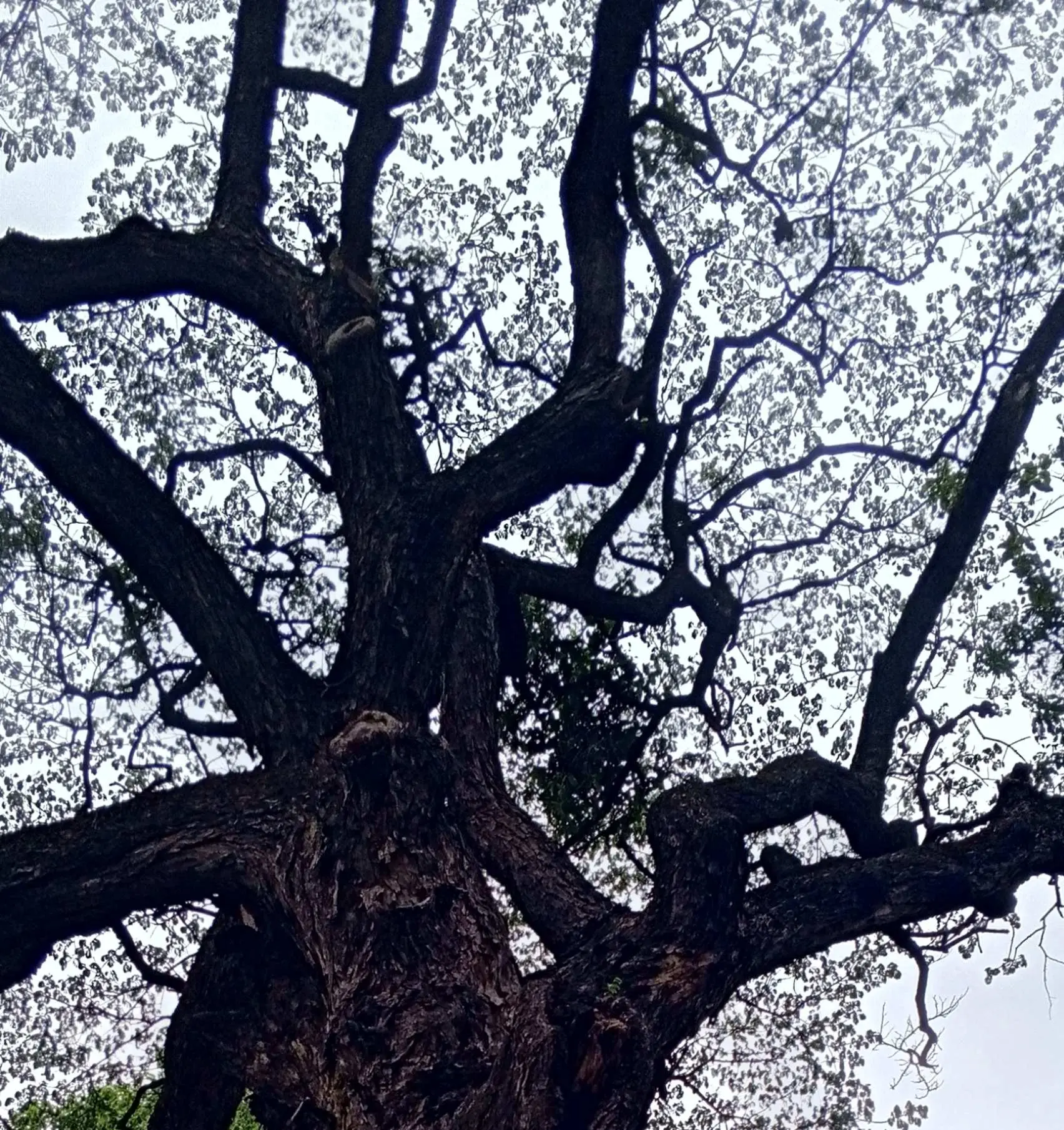 Ini 10 Tanda Kalau Mentalmu Kuat